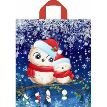 НГ Пакет с петлевой ручкой (38х43,5)-35 Совушки 50/500