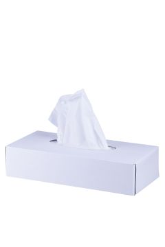 Салфетки косметические 2-сл в коробке 20х20 целл 17грх2 прямоугольник (100) 1/40