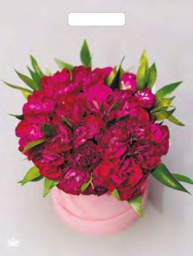 Пакет с вырубной ручкой (31х40)-60 Букет пионов Тико 50/500