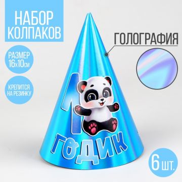 Колпак 1 Годик панда 6/6