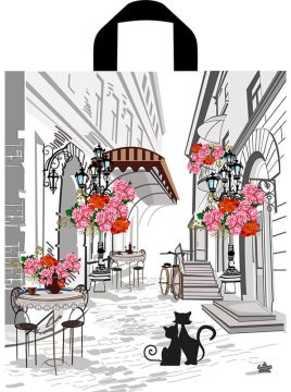 Пакет с петлевой ручкой (38х42)-37 Маленькая история ПНД Тико 50/300