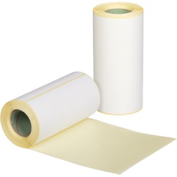 Термоэтикетка (100х100) Эко для термопринтера и весов (100шт) 1/1