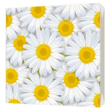 Салфетки (33х33) 3-сл Ромашки (20) 1/15