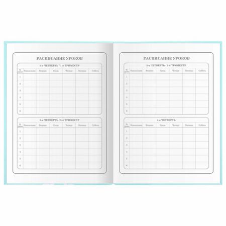 Дневник 1-4 класс 48л, гибкая обложка, ЮНЛАНДИЯ, выборочный лак, с подсказом, Little Princess,106344