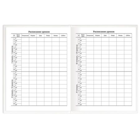 Дневник 1-11кл 40л (твердый) матовая ламинация Белый 1/28