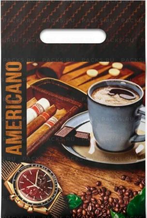 Пакет с вырубной ручкой (20х30)-30 Американо 100/2000