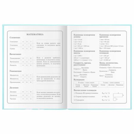 Дневник 1-4 класс 48л, гибкая обложка, ЮНЛАНДИЯ, выборочный лак, с подсказом, Little Princess,106344