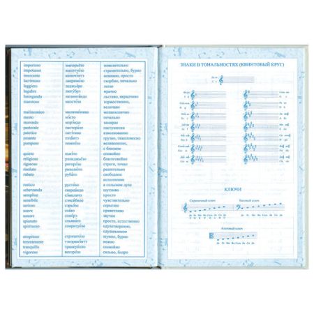 Дневник для музыкальной школы 48л твердый, BRAUBERG, выборочный лак, Симфония, 103601