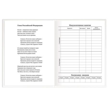 Дневник 1-11кл 40л (твердый) матовая ламинация Белый 1/28