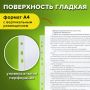 Перфофайлы А4 30 мкм гладкие STAFF 100шт яблоко 1/30