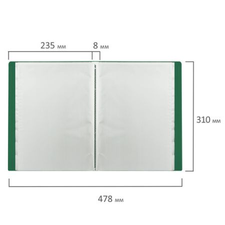 Папка  10 вклад. STAFF, зеленая, 0,5мм, 225691