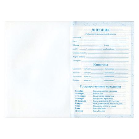 Дневник для музыкальной школы 48л твердый, BRAUBERG, Гитара, 104974