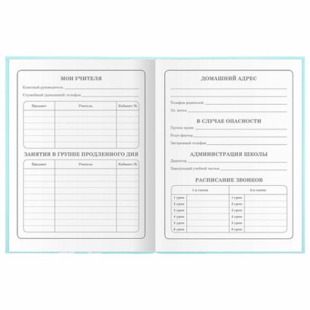 Дневник 1-4 класс 48л, гибкая обложка, ЮНЛАНДИЯ, выборочный лак, с подсказом, Little Princess,106344