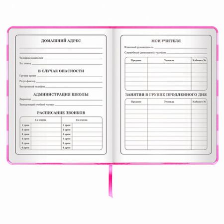 Дневник 1-4 класс 48л, кожзам (твердая с поролоном), печать, аппликация, ЮНЛАНДИЯ, АВАКОТ, 105938