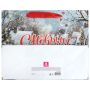 НГ Пакет подарочный бумажный (26х32х13) ассорти Winter Wonderland 1/12/144