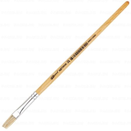 Кисть щетина плоская №10 ArtSpace 1/10/250 