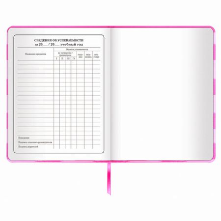 Дневник 1-4 класс 48л, кожзам (твердая с поролоном), печать, аппликация, ЮНЛАНДИЯ, АВАКОТ, 105938