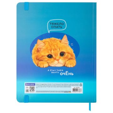Дневник 1-11кл 40л (твердый) матовая ламинация Котик 1/36 (Клиент)