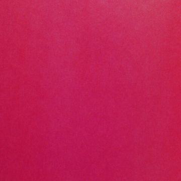 Цветная бумага А4 офсетная, 24 листа 24 цвета, на скобе, BRAUBERG, 200х280мм, Птица, 113538