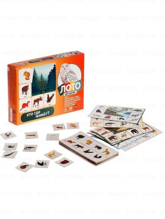 Игра настольная ЛОТО Кто где живет ? МИКС 1/26
