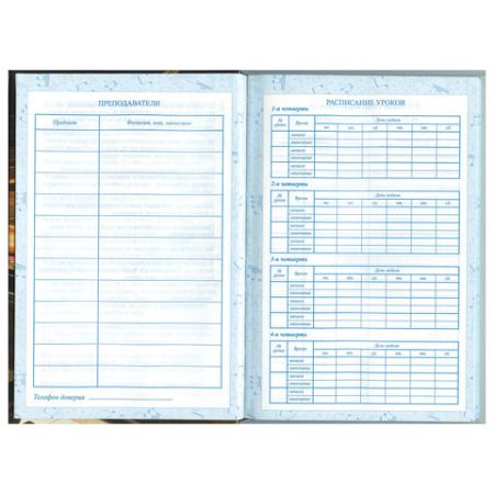 Дневник для музыкальной школы 48л твердый, BRAUBERG, выборочный лак, Симфония, 103601