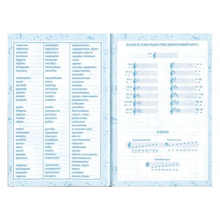 Дневник для музыкальной школы 48л твердый, BRAUBERG, Гитара, 104974