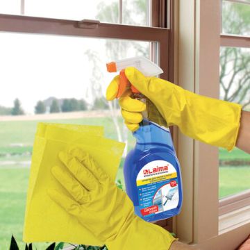 Средство для мытья стекол и зеркал 750мл триггер ЛАЙМА PROFESSIONAL 1/12