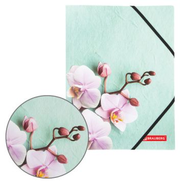 Папка на резинках BRAUBERG FLOWER до 300 листов 500 мкм 1/12/180 (Клиент)
