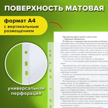 Перфофайлы А4 25 мкм матовые STAFF ЭКОНОМ 1/30