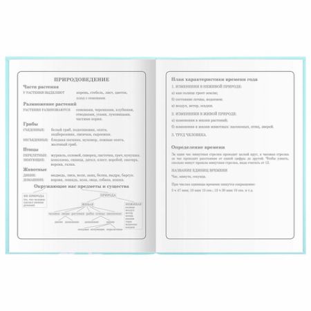 Дневник 1-4 класс 48л, гибкая обложка, ЮНЛАНДИЯ, выборочный лак, с подсказом, Little Princess,106344