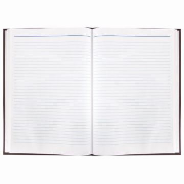 Книга учета 96л А4 200х290мм линия бумвинил блок офсет ОФИСМАГ 1/10 (Клиент)