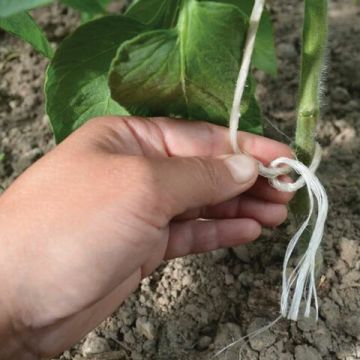 Шпагат ПП BRAUBERG, диаметр 2 мм, длина 125 м,линейная плотность 1600 текс 1/30 (Клиент)