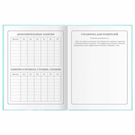 Дневник 1-4 класс 48л, гибкая обложка, ЮНЛАНДИЯ, выборочный лак, с подсказом, Little Princess,106344