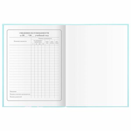 Дневник 1-4 класс 48л, гибкая обложка, ЮНЛАНДИЯ, выборочный лак, с подсказом, Little Princess,106344