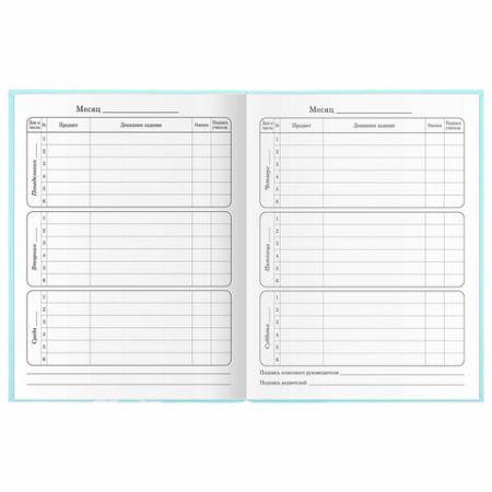 Дневник 1-4 класс 48л, гибкая обложка, ЮНЛАНДИЯ, выборочный лак, с подсказом, Little Princess,106344