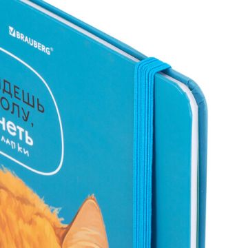 Дневник 1-11кл 40л (твердый) матовая ламинация Котик 1/36 (Клиент)