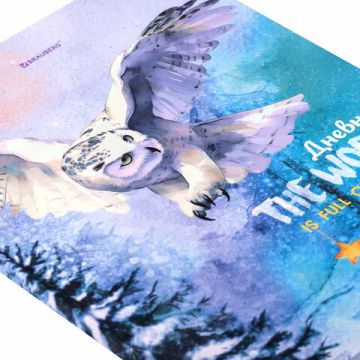 Дневник 1-11кл 40л (твердый) глянц ламинация Сова 1/28 (Клиент)