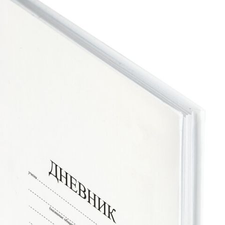 Дневник 1-11кл 40л (твердый) матовая ламинация Белый 1/28
