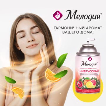 Картридж аэрозольный 250мл МЕЛОДИЯ Цитрусовый для автом освеж универ сух расп 1/6 (клиент)